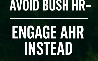 Avoid HR Disasters: Why Small Businesses Must Say No to Bush HR